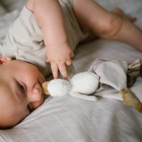 Мягкая игрушка BabyOno Goose Zoe (1556) фото №2 — интернет-магазин Desire.md