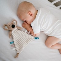 Jucărie de pluș BabyOno Koala Charlie (1559) imaginea #4 — magazin online Desire.md