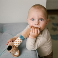 Игрушка-прорезыватель BabyOno Koala Charlie (1560) фото №2 — интернет-магазин Desire.md