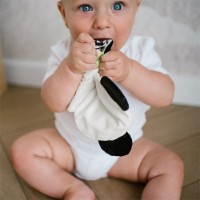 Jucărie de pluș BabyOno Panda Polly (1558) imaginea #4 — magazin online Desire.md