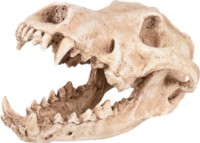Decor pentru acvarii și terarii Flamingo Skelo Skull Predator (410220)