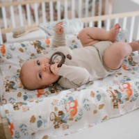 Jucărie cu sunătoare BabyOno Snail (1547) imaginea #2 — magazin online Desire.md