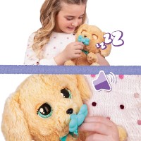 Jucărie de pluș Baby Paws Labrador (921146) imaginea #6 — magazin online Desire.md