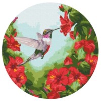 Tablou pe numere Brushme Colibri  (RC00012FC)