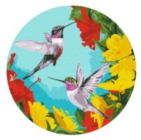 Tablou pe numere Brushme Colibri în flori (RC0001FC)