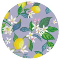 Tablou pe numere Brushme Înflorirea lămâii (RC00047FC)