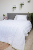 Plapumă Relaxe Home Aloe Vera 200x220 (019811)