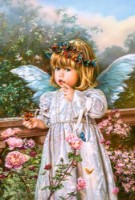 Puzzle Castorland 1000 Butterfly Dreams (C-103232)