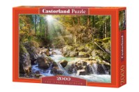 Puzzle Castorland 2000 The Forest Stream (C-200382)