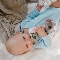 Игрушка-прорезыватель BabyOno Koala Coco (1633) фото №3 — интернет-магазин Desire.md