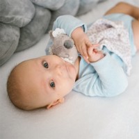 Мягкая игрушка BabyOno Koala Coco (1635) фото №2 — интернет-магазин Desire.md