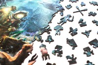 Пазл Piecezz Puzzle 250pcs Treasure Hunter фото №4 — интернет-магазин Desire.md