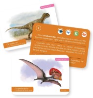 Joc educativ de masa Gama Carti de joc Montessori. Evolutia vietii: Dinozauri (9786060563556) imaginea #3 — magazin online Desire.md