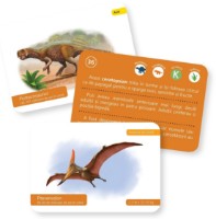 Joc educativ de masa Gama Carti de joc Montessori. Evolutia vietii: Dinozauri (9786060563556) imaginea #4 — magazin online Desire.md