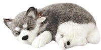 Jucarii interactive Perfect Petzzz Shiba Puppy 91-03