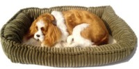 Jucarii interactive Perfect Petzzz Spaniel 91-28 imaginea #1 — magazin online Desire.md