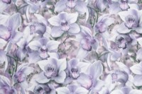 Tapete Palitra Simple SP71836-65 Orchidea