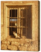 Tablou pe numere Art Gallery Econom Motan pe pervaz GX30925