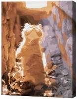 Tablou pe numere Art Gallery Econom Motănaș curios EX7942