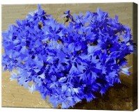 Tablou pe numere Art Gallery Econom Inimă din albăstrele GX32888