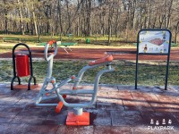 Уличный спортивный тренажер PlayPark B-09 фото №2 — интернет-магазин Desire.md