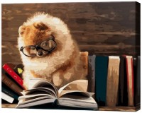 Tablou pe numere Art Gallery Econom Câinele învățat GX39191