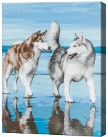Tablou pe numere Art Gallery Econom Husky pe litoral GX38863