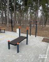 Aparat fitness exterior PlayPark PD-02 imaginea #2 — magazin online Desire.md