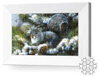 Pictura cu diamante după numere Art Gallery Premium Veverița pe brad JS13260