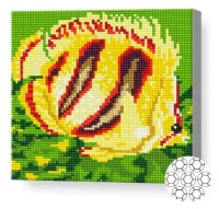 Pictura cu diamante după numere Art Gallery Premium Peștișor galben BJ757