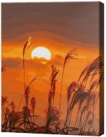 Картина по номерам Art Gallery Premium Колоски и солнце GX44087