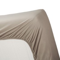 Cearşaf Ambiante Cotton Uni Taupe 160x200 (181982)