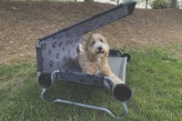 Pat pentru câini Disc-O-Bed Dog Bed L 126cm (60001) imaginea #5 — magazin online Desire.md