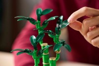 Set de construcție Lego The Botanical Collection: Lucky Bamboo (10344) imaginea #4 — magazin online Desire.md