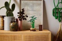Set de construcție Lego The Botanical Collection: Lucky Bamboo (10344) imaginea #5 — magazin online Desire.md
