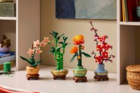 Set de construcție Lego The Botanical Collection: Lucky Bamboo (10344) imaginea #6 — magazin online Desire.md