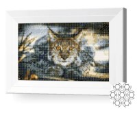 Pictura cu diamante după numere Art Gallery Premium Râs JS25386