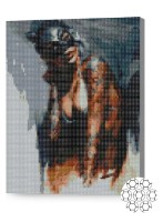 Pictura cu diamante după numere Art Gallery Premium Fată sexy XQB74970
