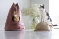 Casă pentru pisici Beeztees Vilar Pink (704897) imaginea #2 — magazin online Desire.md