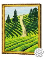Pictura cu diamante după numere Art Gallery Premium Plantație de ceai GA79783
