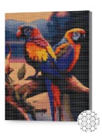 Pictura cu diamante după numere Art Gallery Premium Papagali aprinși XQB73922