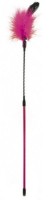 Jucărie pentru pisici Record 48cm (6107.2F) imaginea #1 — magazin online Desire.md