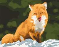 Tablou pe numere Brushme Vulpea BS52778