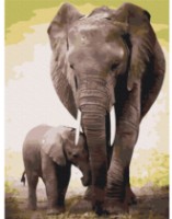 Tablou pe numere Brushme Micul elefant RBS52150