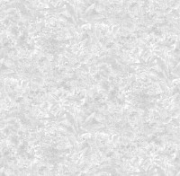 Обои Victoria Stenova 287095 Jungle