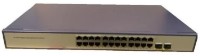 Switch Lanitron LSS-24G2F