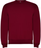 Детская толстовка Roly Clasica 1070 Garnet, 9-10 years