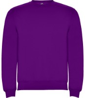 Hanorac pentru copii Roly Clasica 1070 Purple, 11-12 years imaginea #1 — magazin online Desire.md