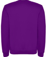 Hanorac pentru copii Roly Clasica 1070 Purple, 9-10 years imaginea #2 — magazin online Desire.md