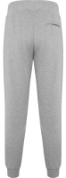 Мужские спортивные штаны Roly Iria 1181 Heather Grey, s.M фото №2 — интернет-магазин Desire.md